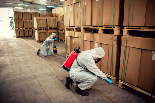 Trusted Brownstown, PA Pest Control Experts