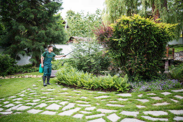 Best Commercial Pest Control Services  in Brownstown, PA