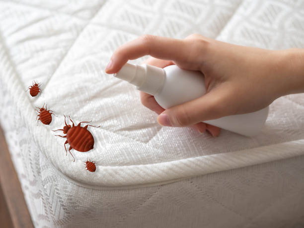 Best Mosquito Control Services  in Brownstown, PA